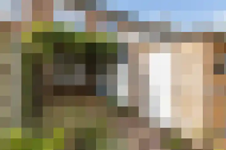 Sperwerstraat 5 Brummen thumbnail 5