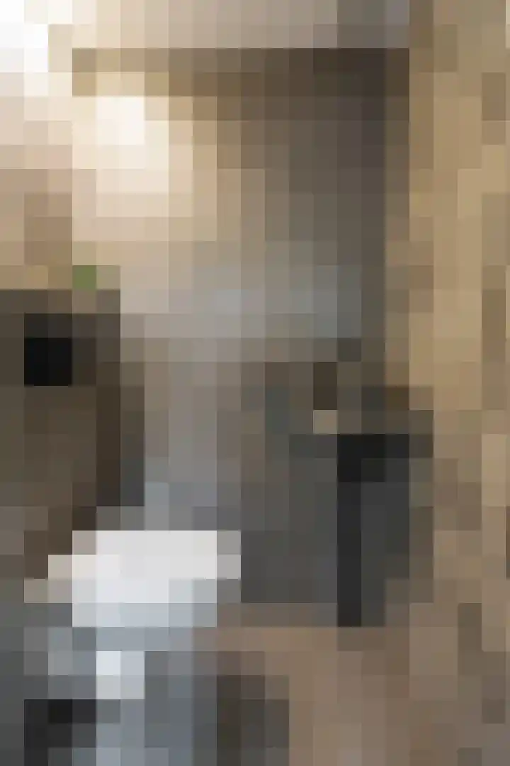 Sperwerstraat 5 Brummen thumbnail 7