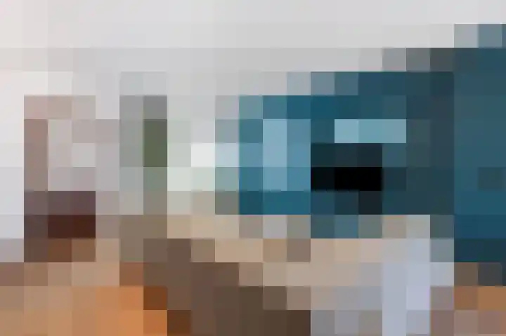 Sperwerstraat 5 Brummen thumbnail 8
