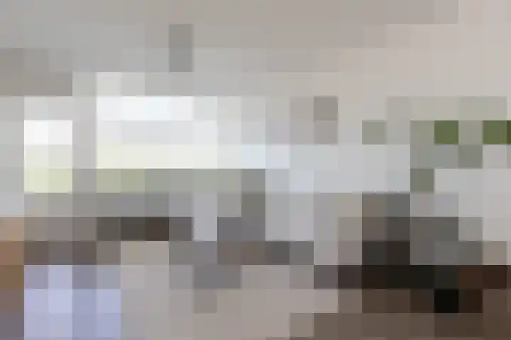 Sperwerstraat 54 Sliedrecht thumbnail 9