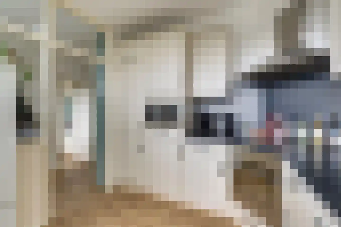 Sperwerstraat 56 Sliedrecht thumbnail 10