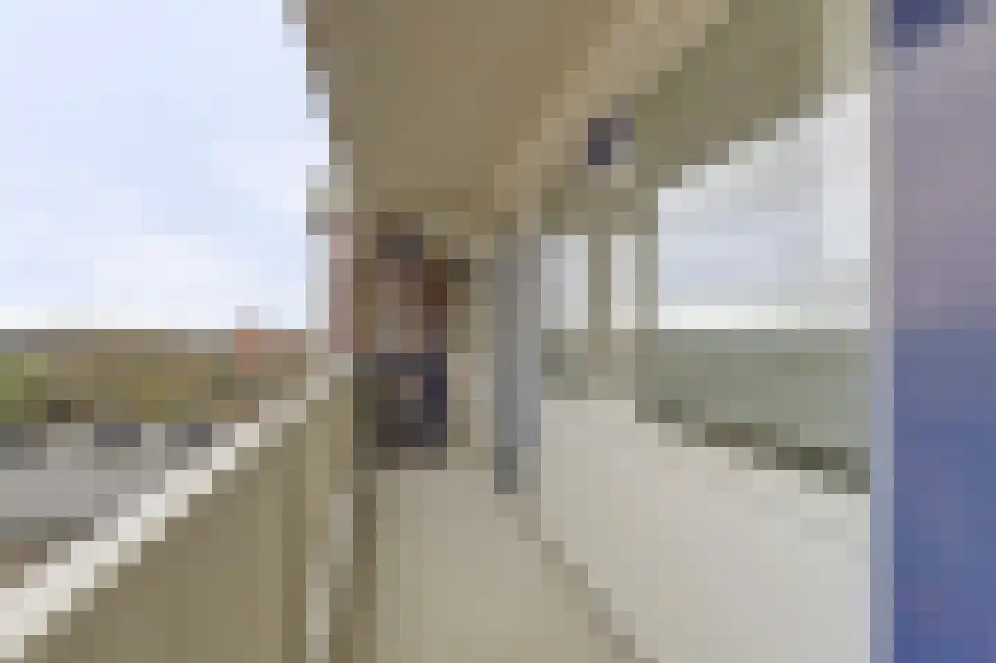 Sperwerstraat 56 Sliedrecht thumbnail 22