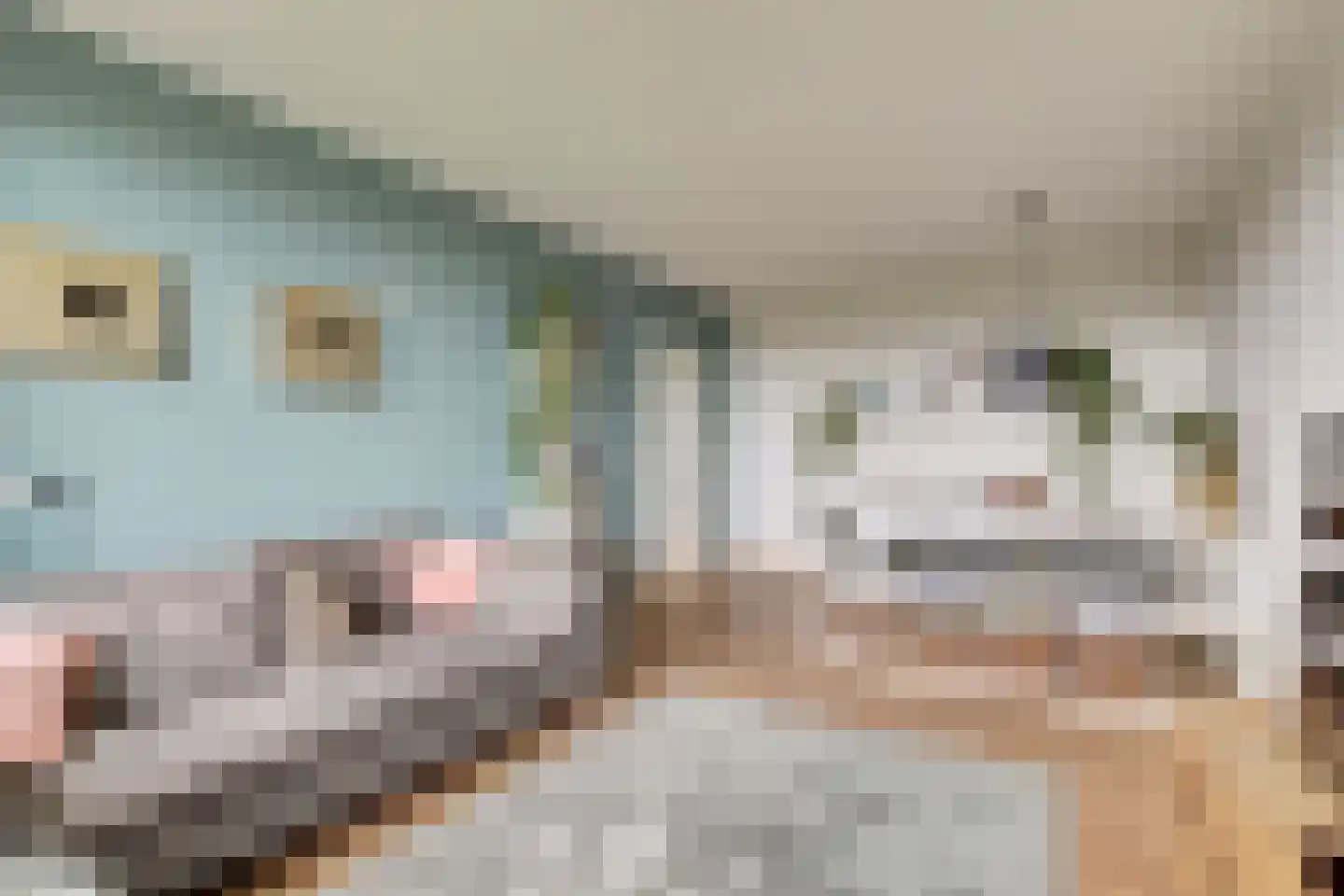 Sperwerstraat 56 Sliedrecht thumbnail 4