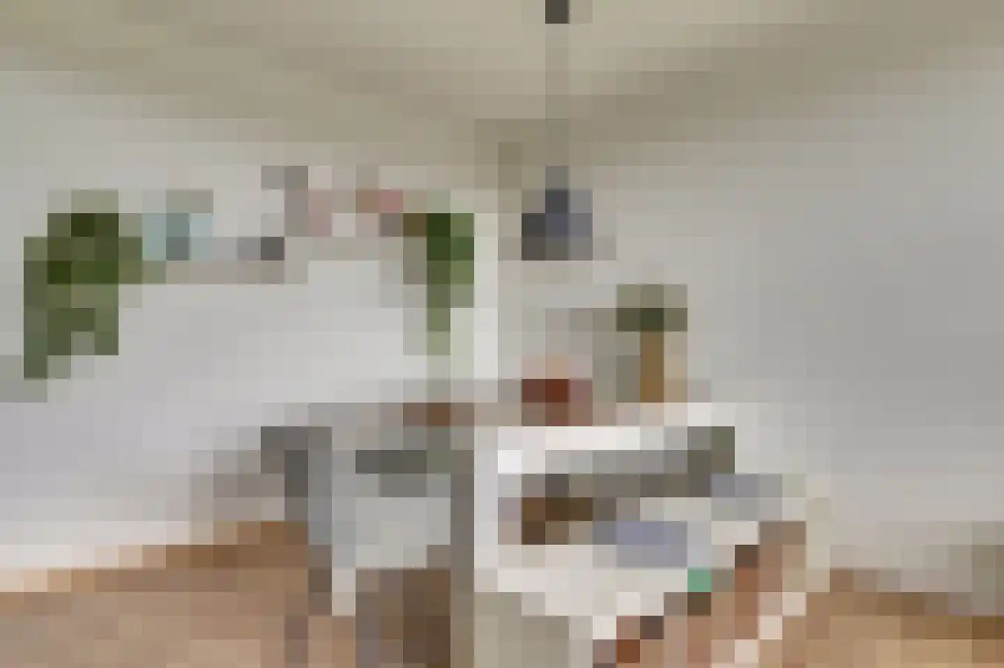 Sperwerstraat 56 Sliedrecht thumbnail 6