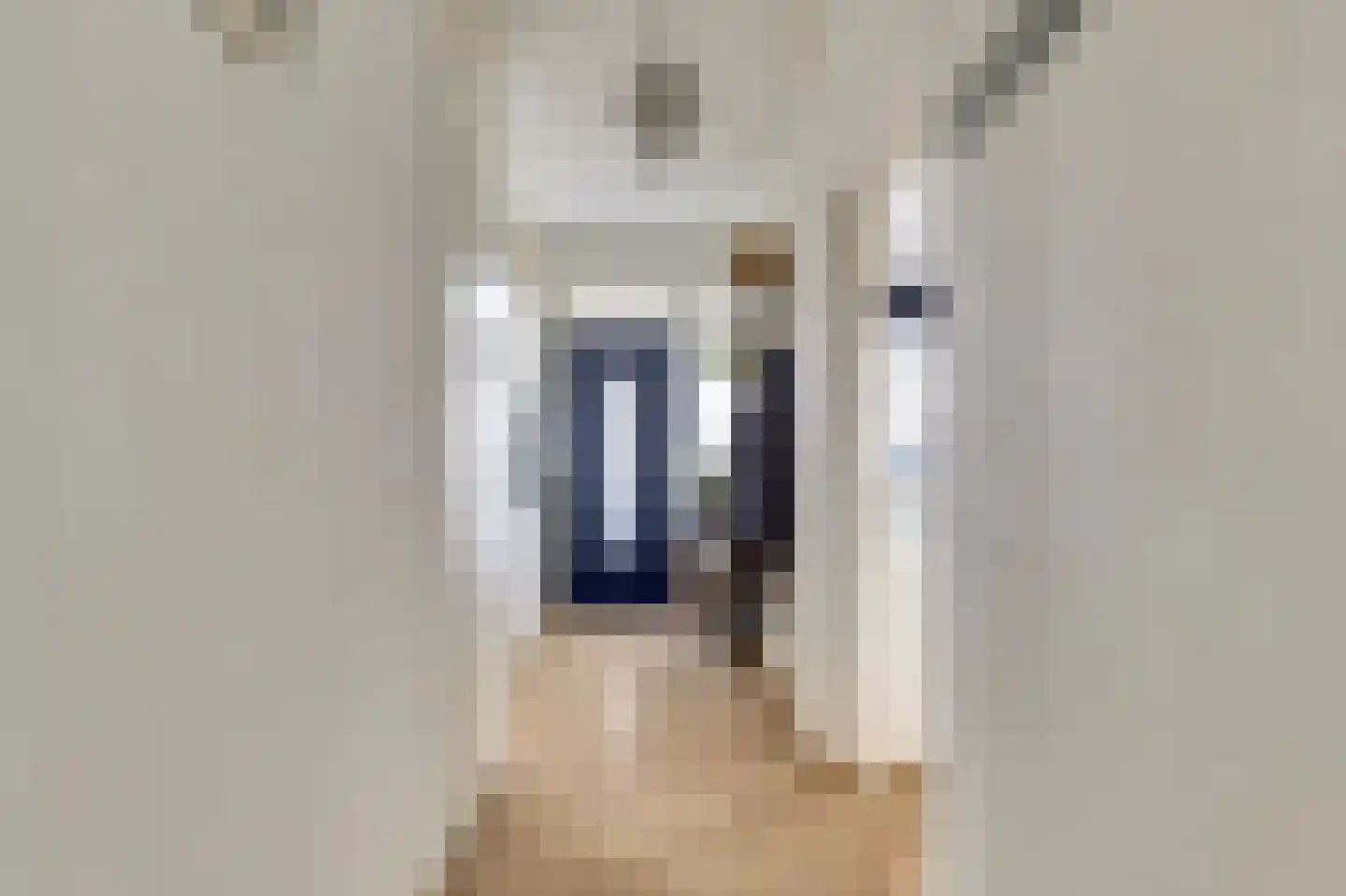 Sperwerstraat 56 Sliedrecht thumbnail 8