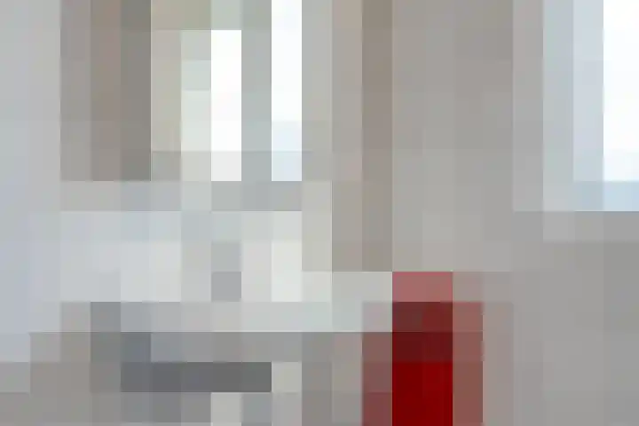 Sperwerstraat 6 Venray thumbnail 25