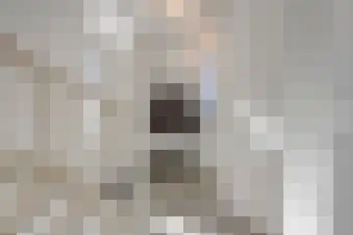 Sperwerstraat 6 Venray thumbnail 5