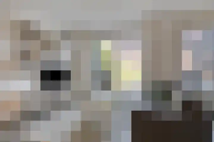Sperwerstraat 6 Venray thumbnail 9