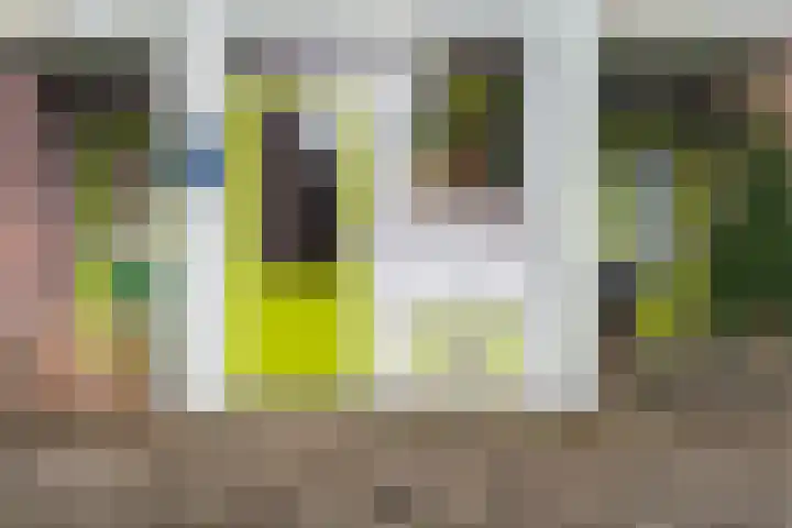 Sperwerstraat 62 Nijmegen thumbnail 5