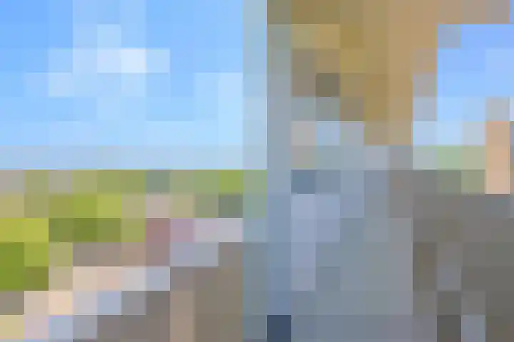 Sperwerstraat 63 Sliedrecht thumbnail 6