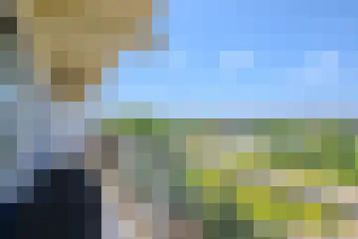 Sperwerstraat 63 Sliedrecht thumbnail 7