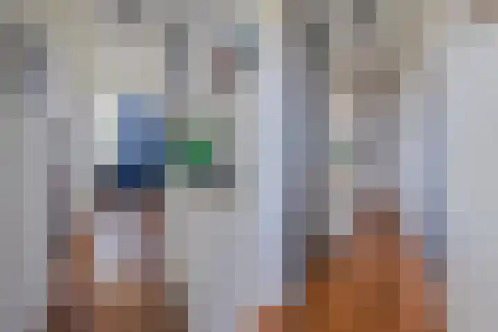 Sperwerstraat 63 Sliedrecht thumbnail 8
