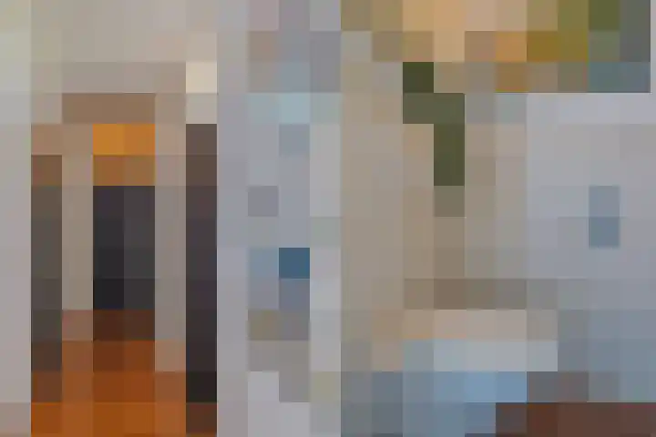 Sperwerstraat 63 Sliedrecht thumbnail 9