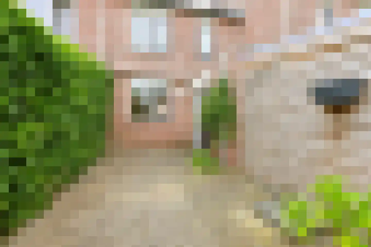 Sperwerstraat 67 Didam thumbnail 12