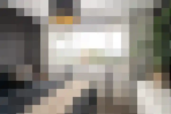 Sperwerstraat 77 Sliedrecht thumbnail 15