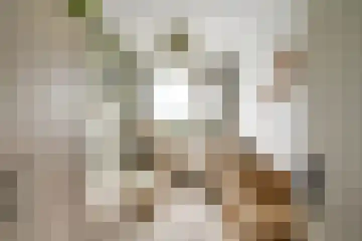 Sperwerstraat 77 Sliedrecht thumbnail 16