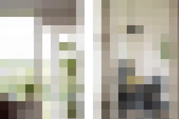 Sperwerstraat 77 Sliedrecht thumbnail 7