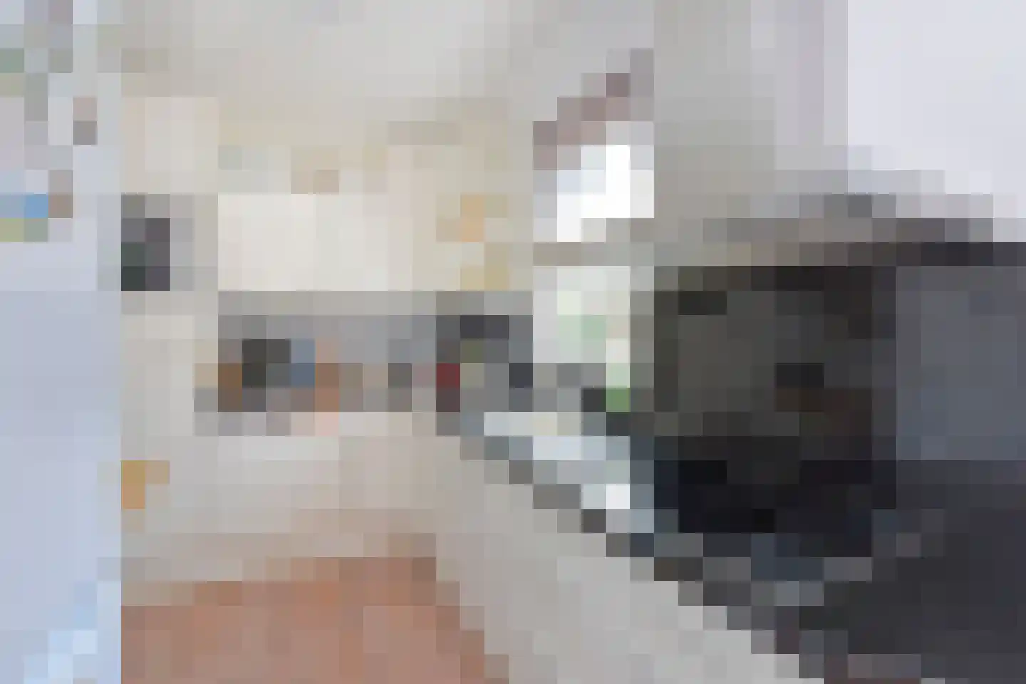 Sperwerstraat 8 Nieuwkoop thumbnail 4