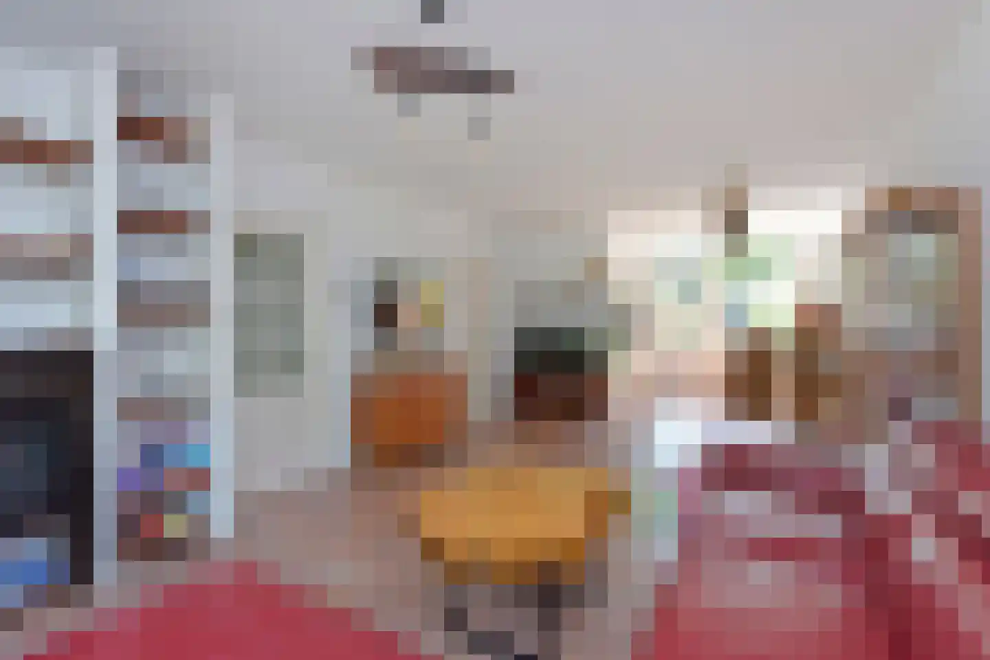 Sperwerstraat 8 Nieuwkoop thumbnail 8