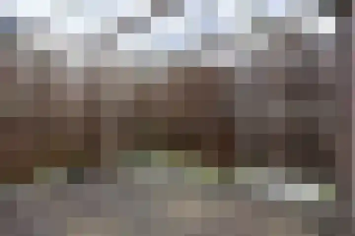Sperwerstraat 8 Vianen thumbnail 33