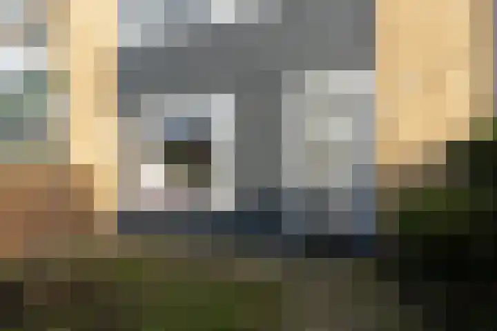 Sperwerstraat 8 Vianen thumbnail 6