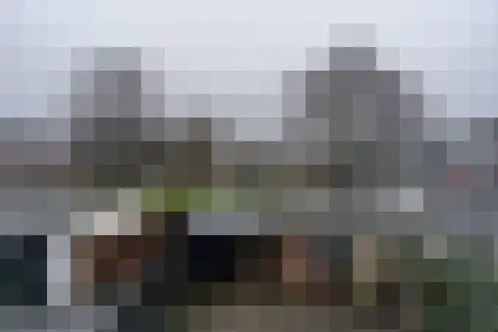 Sperwerstraat 8 Vianen thumbnail 62