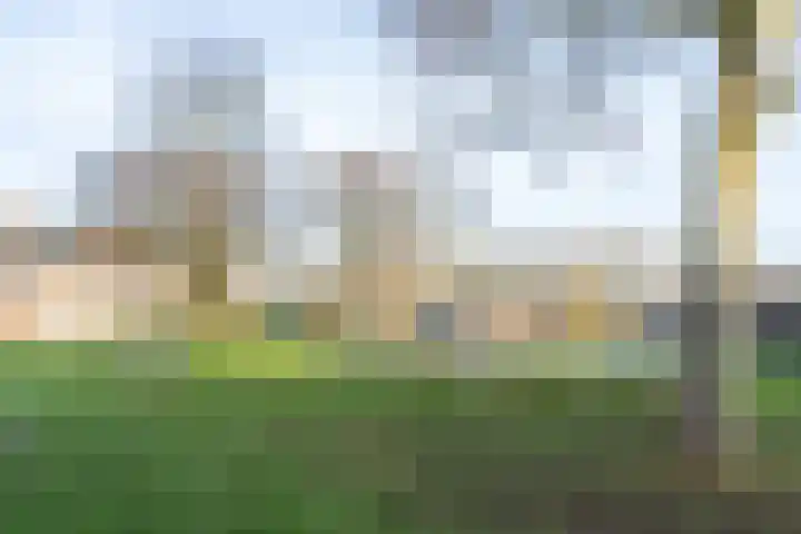 Sperwerstraat 8 Vianen thumbnail 64