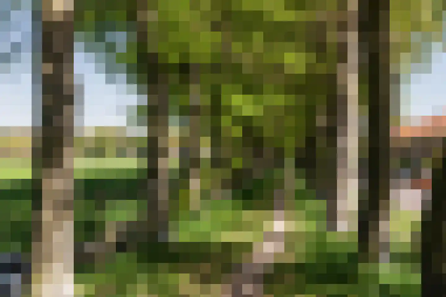Sperwerstraat 88 Arnhem thumbnail 23