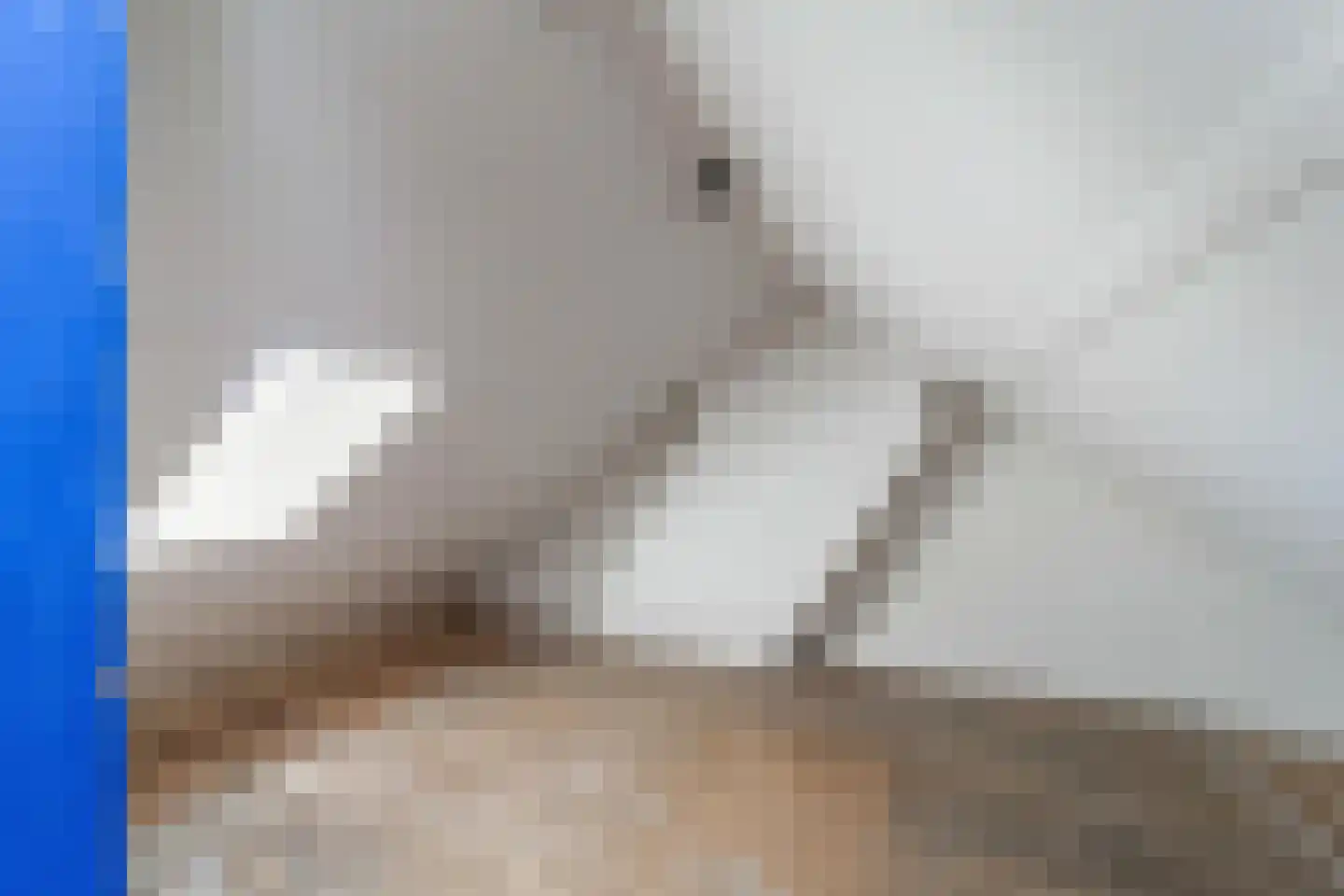 Sperwerstraat 88 Arnhem thumbnail 32