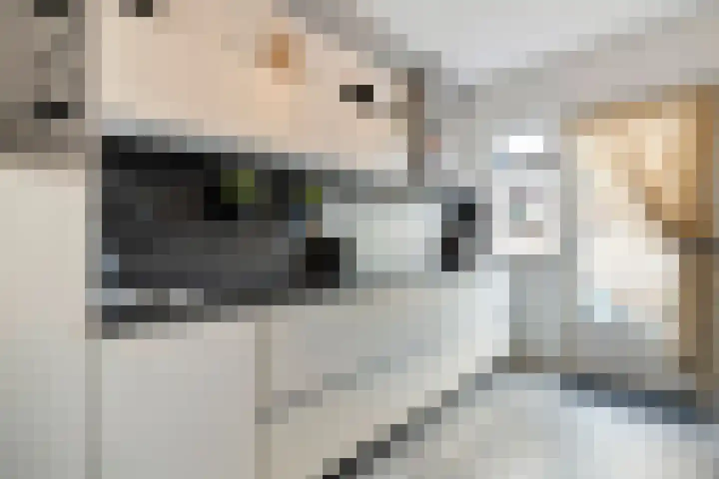 Sperwerweg 19 Dedemsvaart thumbnail 12