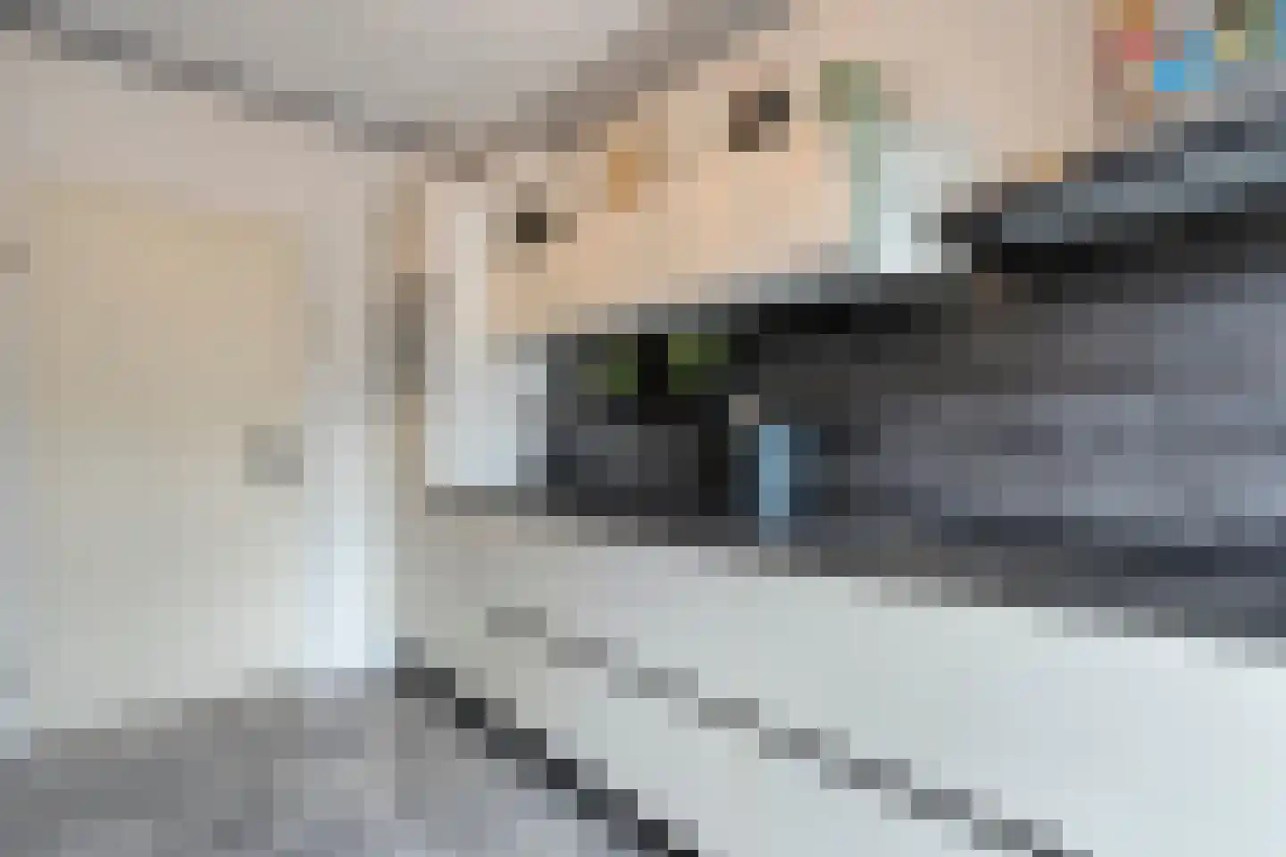 Sperwerweg 19 Dedemsvaart thumbnail 14