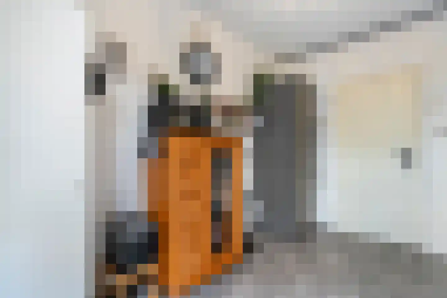 Sperwerweg 19 Dedemsvaart thumbnail 15