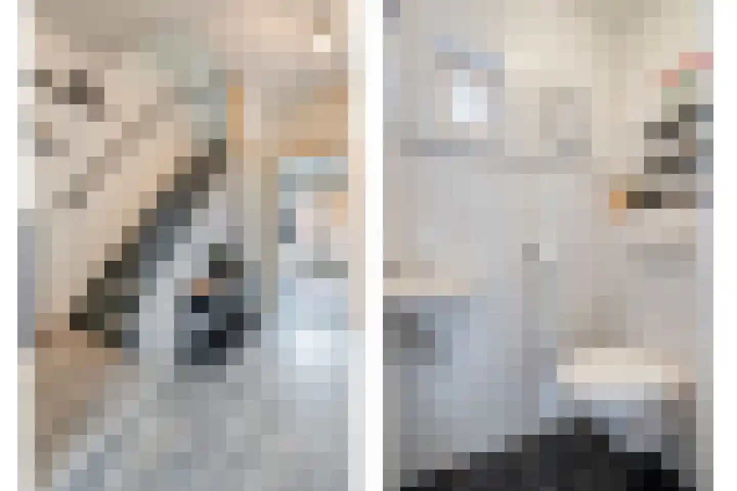 Sperwerweg 19 Dedemsvaart thumbnail 16