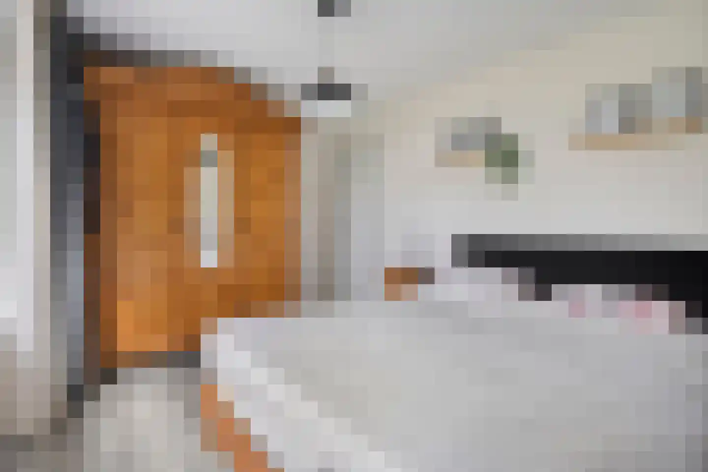 Sperwerweg 19 Dedemsvaart thumbnail 19