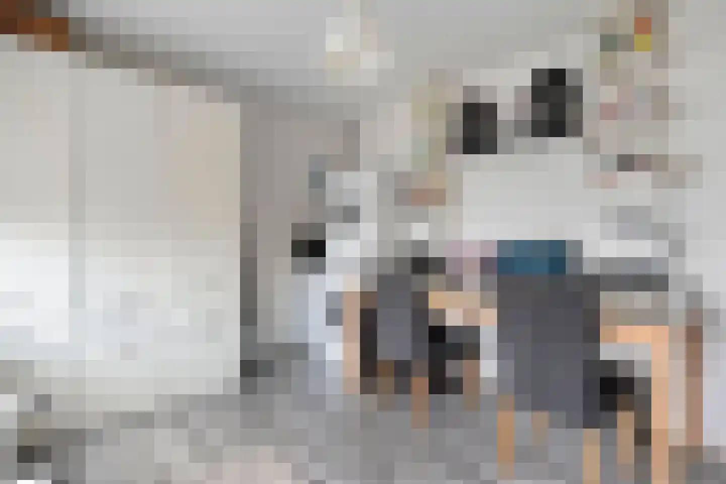Sperwerweg 19 Dedemsvaart thumbnail 22