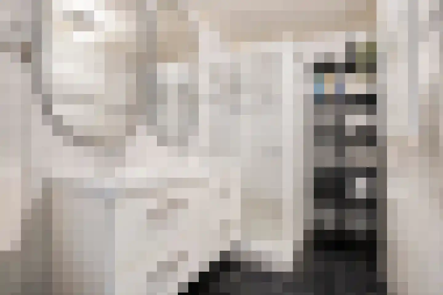 Sperwerweg 19 Dedemsvaart thumbnail 25