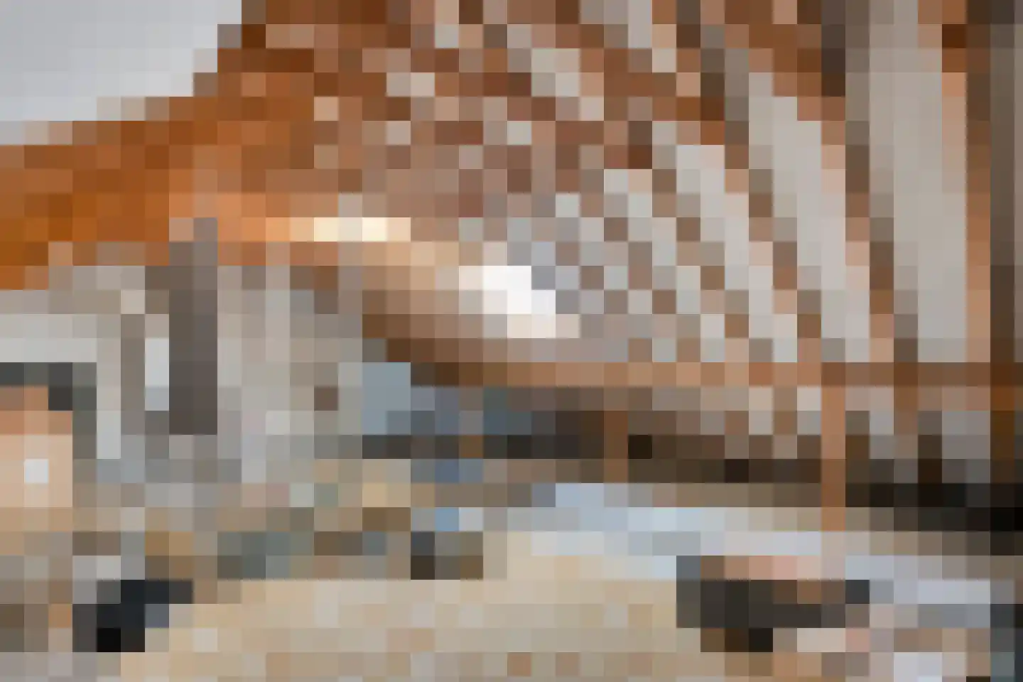 Sperwerweg 19 Dedemsvaart thumbnail 27