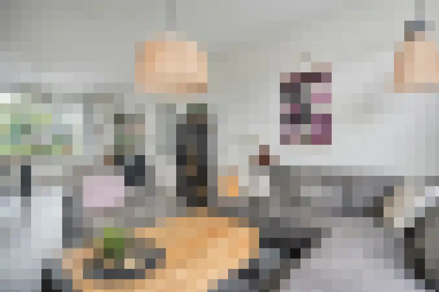 Sperwerweg 19 Dedemsvaart thumbnail 8