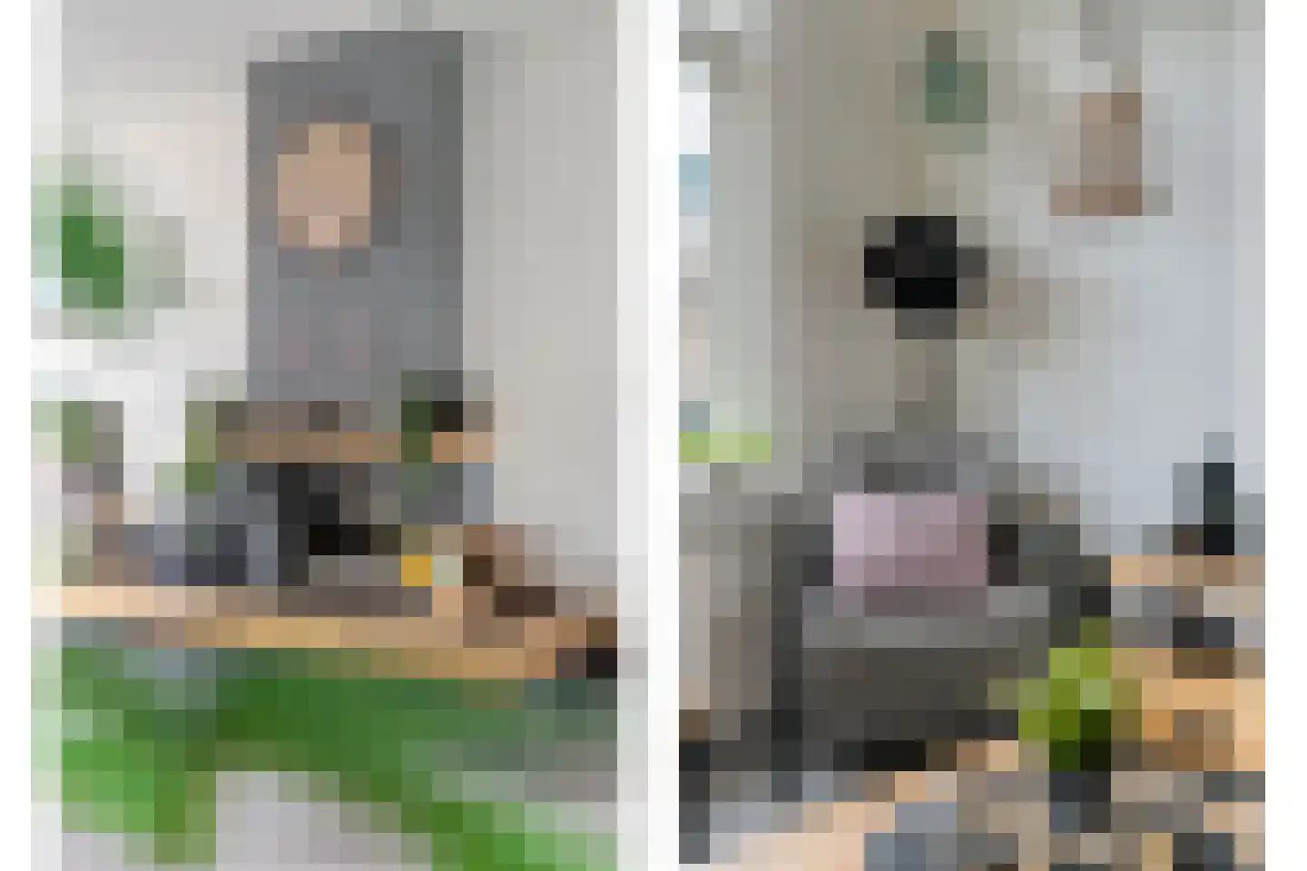 Sperwerweg 19 Dedemsvaart thumbnail 9