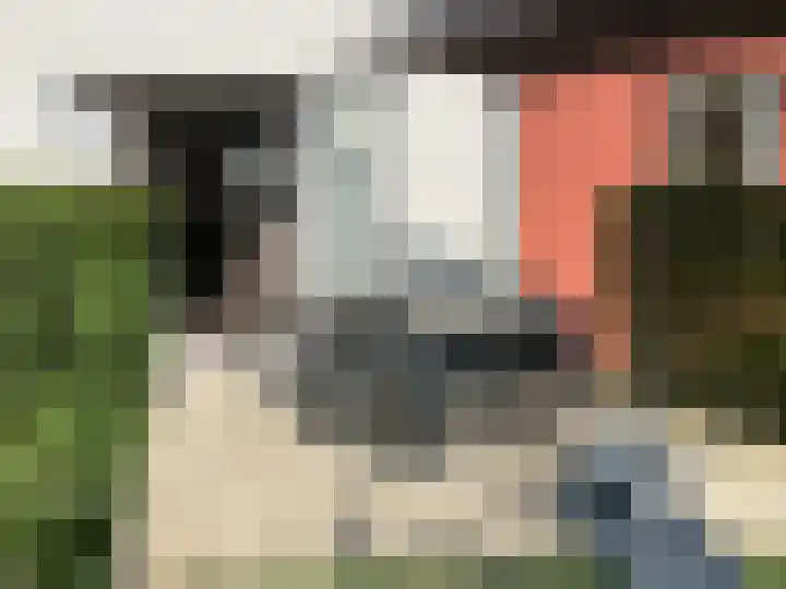 Spetsesweide 5 315 Mechelen thumbnail 12