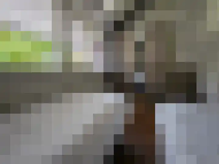 Spetsesweide 5 315 Mechelen thumbnail 19