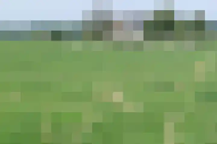 Spetsesweide 5 315 Mechelen thumbnail 29