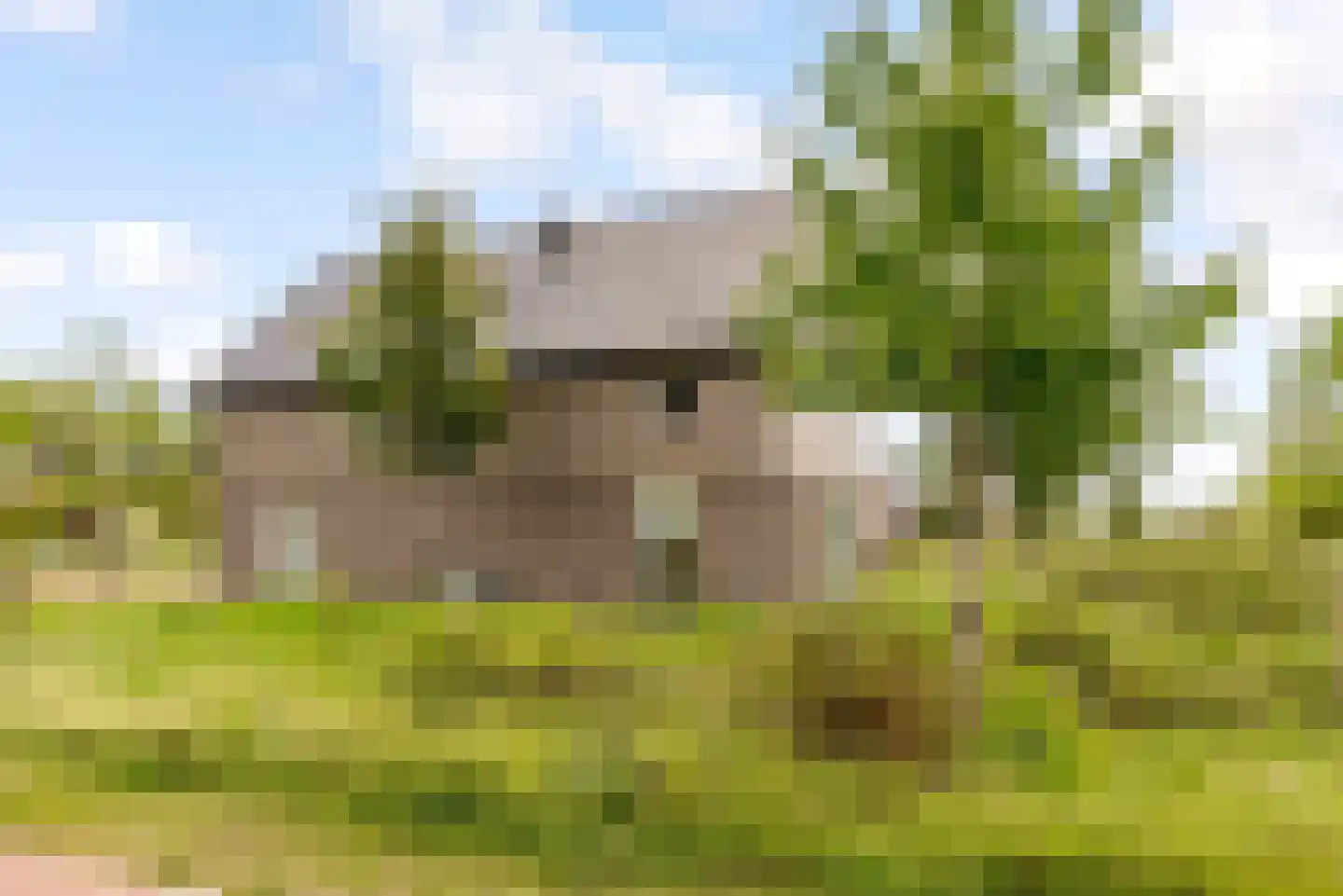 Speulderbos 13 Almere thumbnail 53