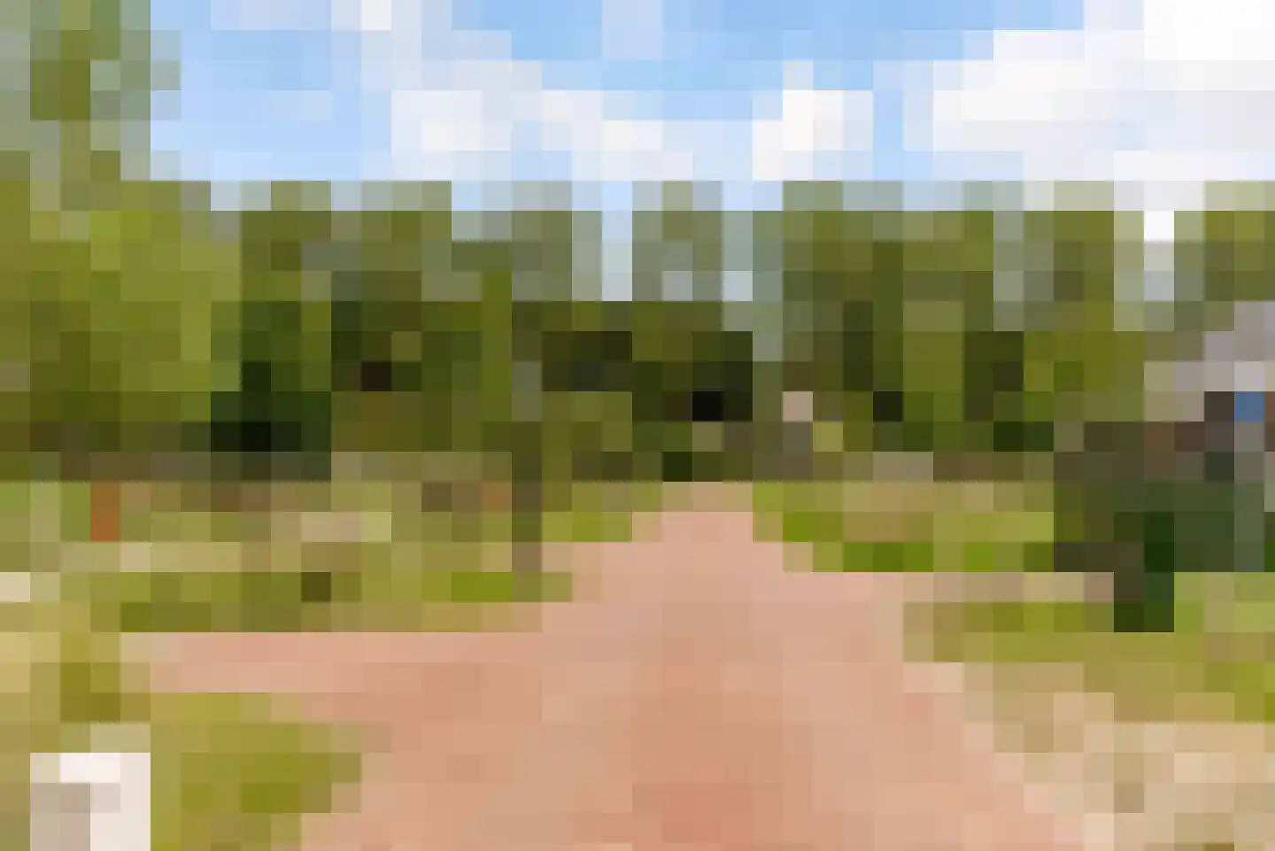 Speulderbos 13 Almere thumbnail 62