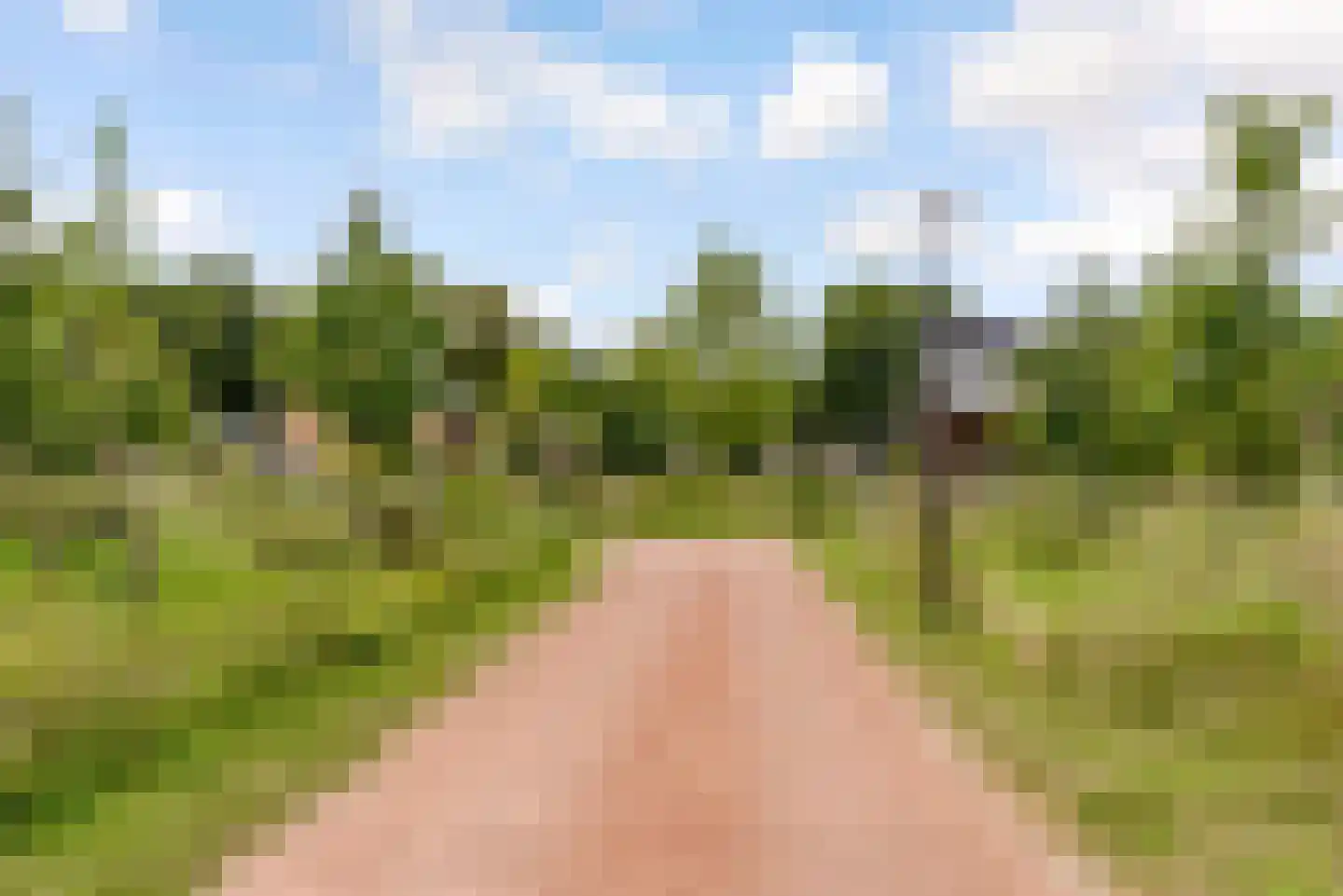Speulderbos 13 Almere thumbnail 64