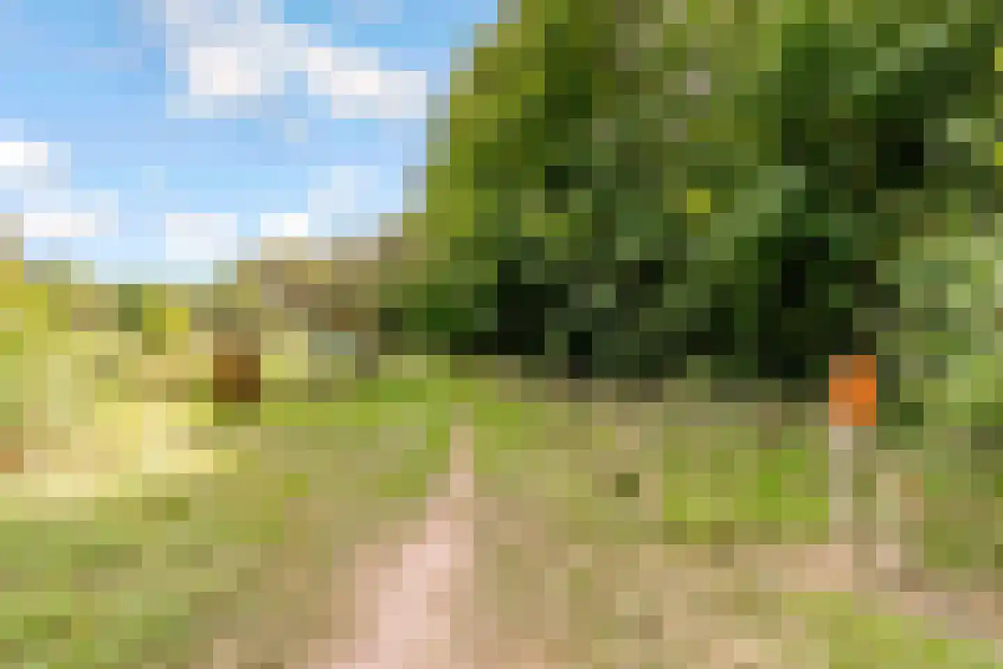 Speulderbos 13 Almere thumbnail 65