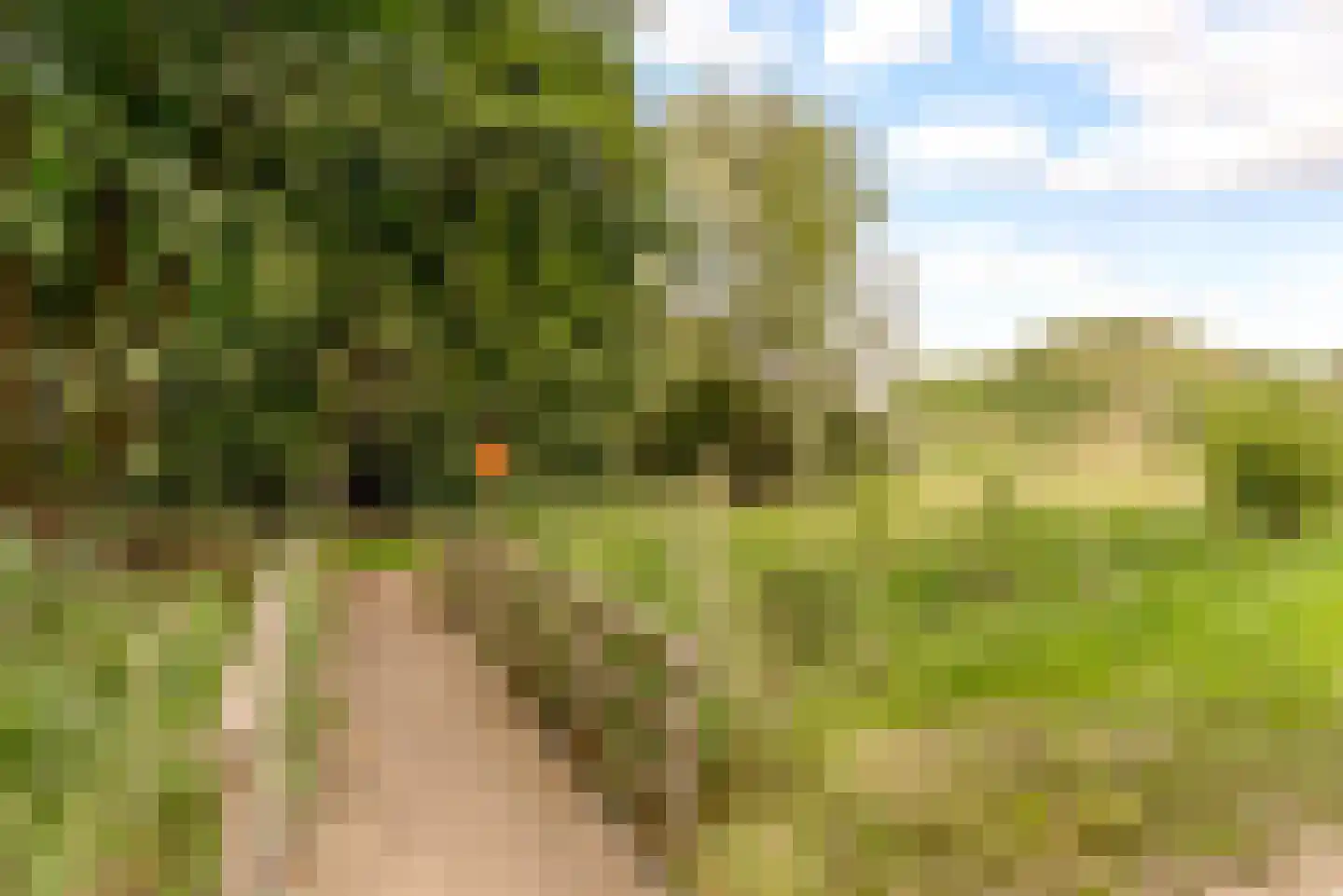 Speulderbos 13 Almere thumbnail 66