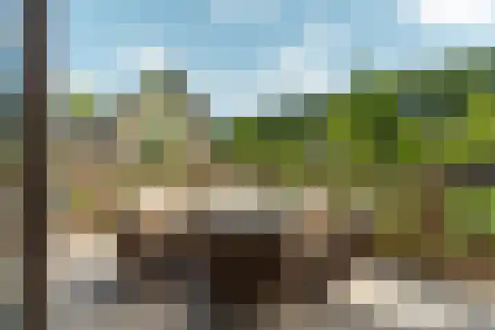 Speulderbos 3 Almere thumbnail 49