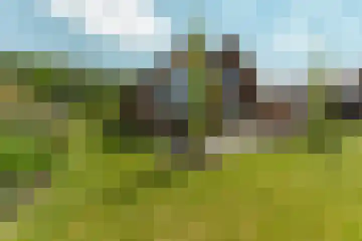Speulderbos 3 Almere thumbnail 55