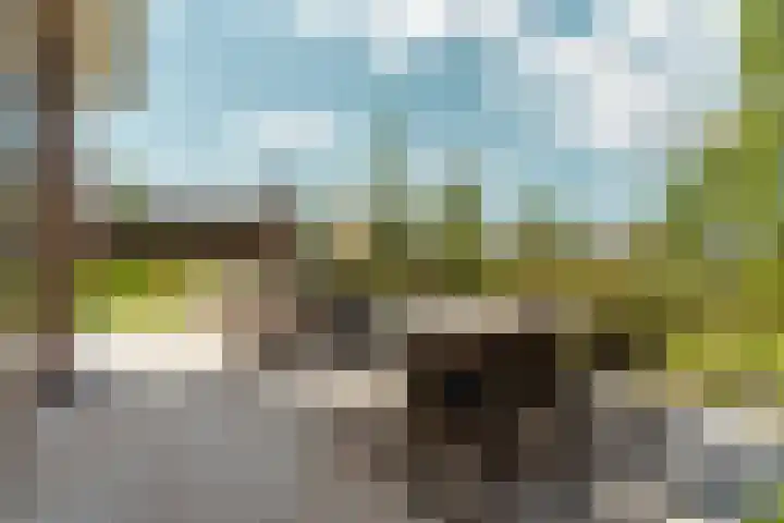 Speulderbos 3 Almere thumbnail 57